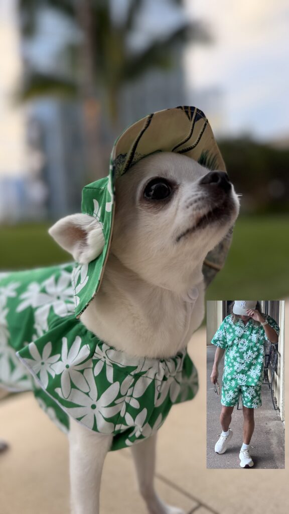 BY REQUEST