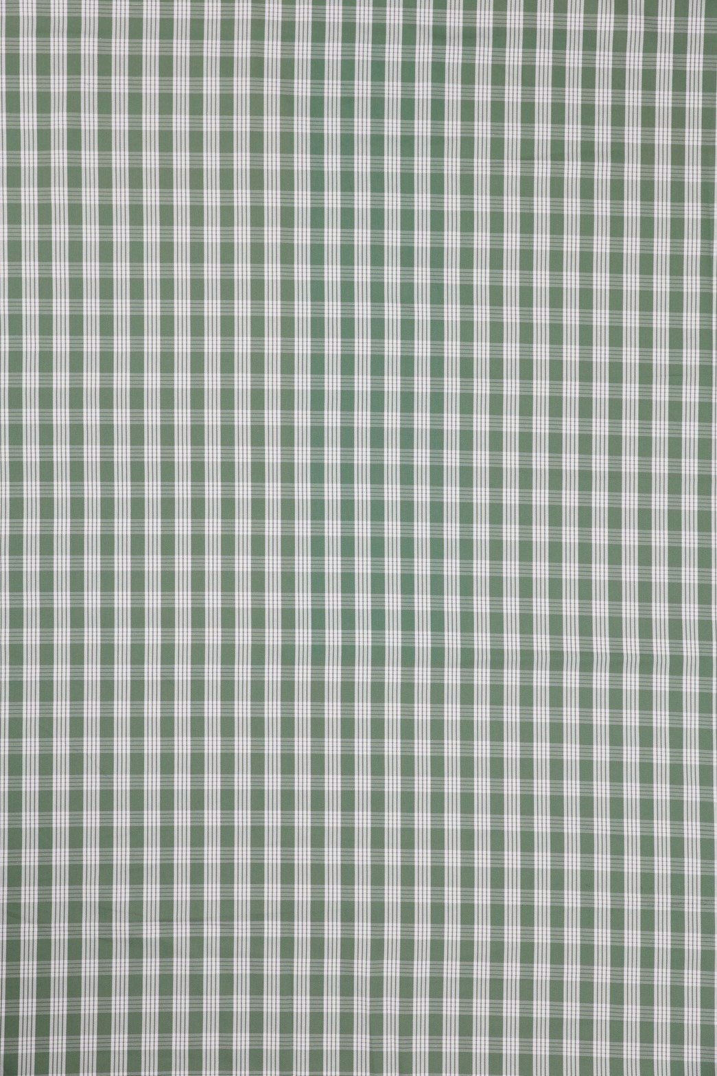 BY REQUEST - GREEN PALAKA
