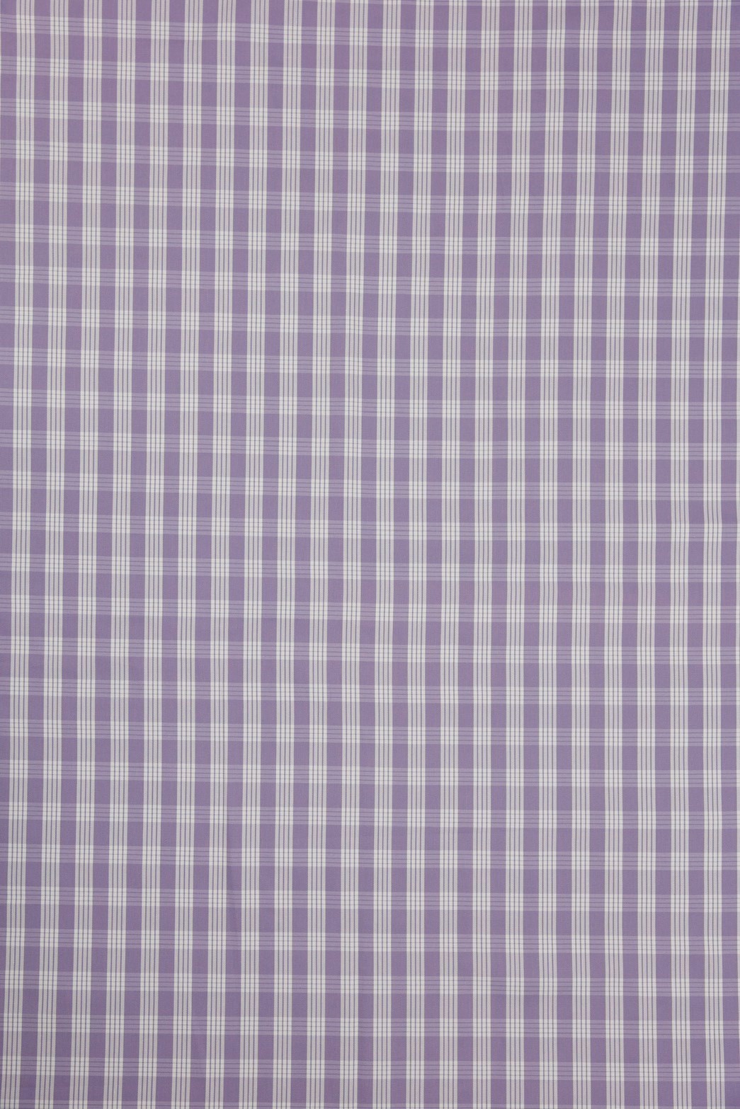 BY REQUEST - PURPLE PALAKA